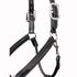 LeMieux Stitched Anatomical Leather Halter